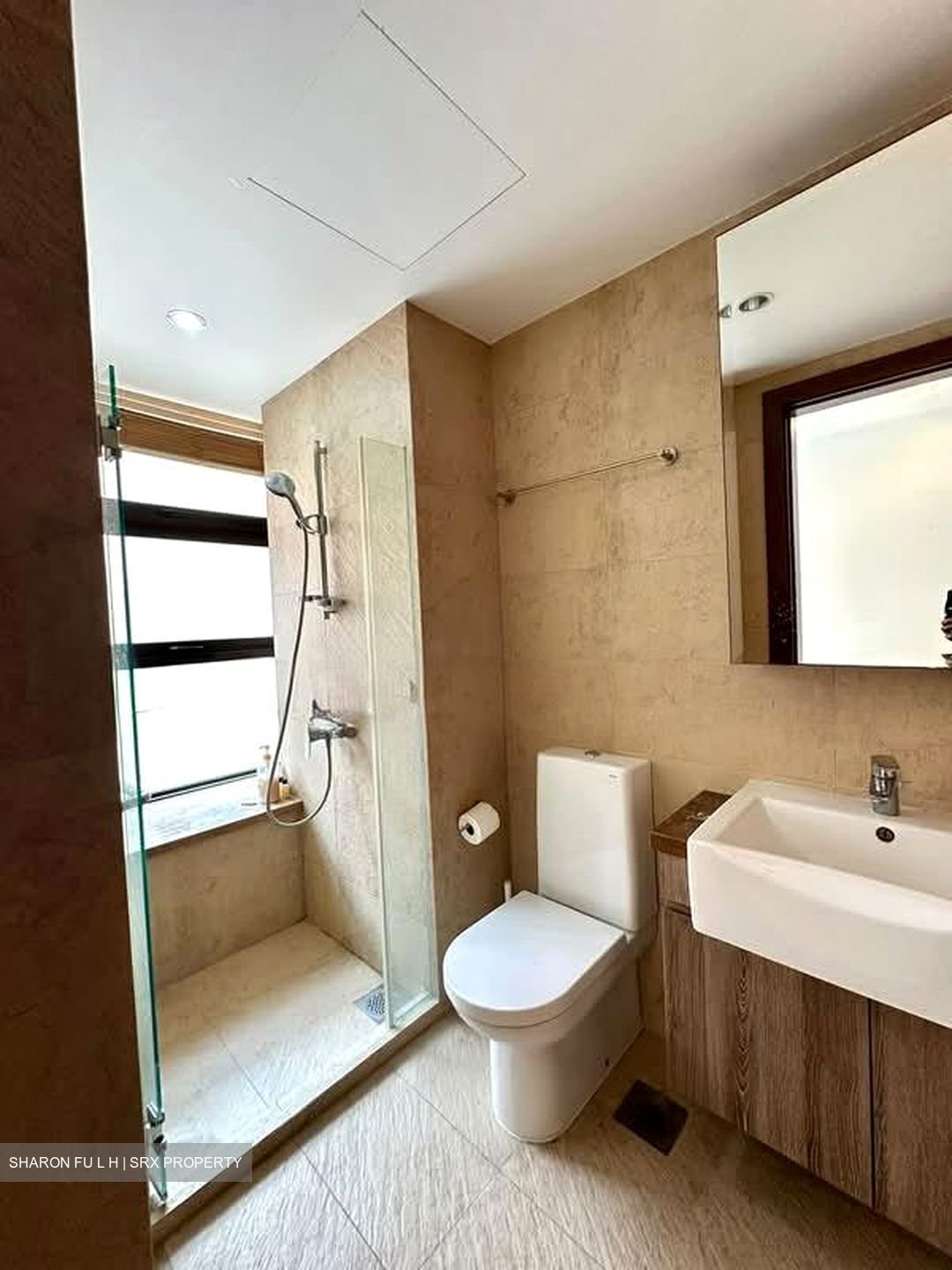 Holland Link (D10), Terrace #598171871